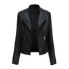 Adeline | Asymmetrical Grommet Moto Jacket